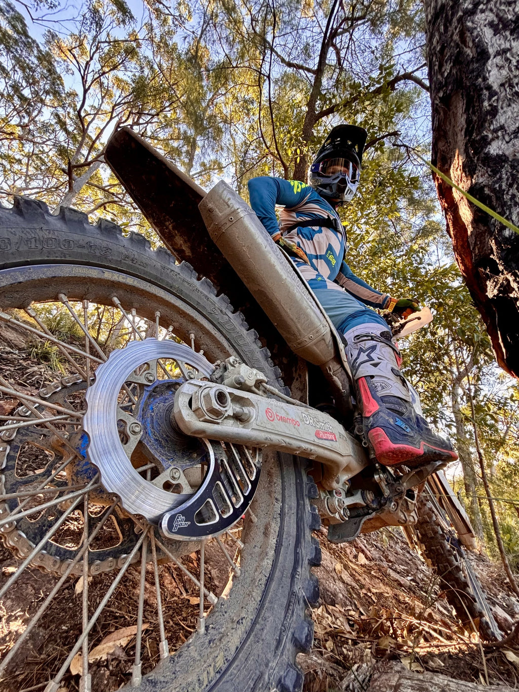 ULTIMATE REAR DISC GUARD